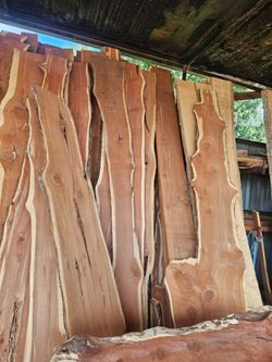 CEDAR  WOOD SLABS  SHELVES
