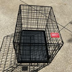 Dog Cage