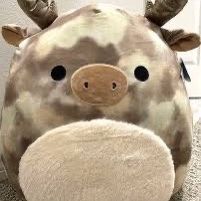 Moose Squish mellow (big)