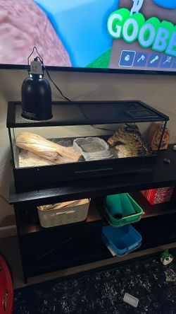 Snake + Tank Selling As Is.