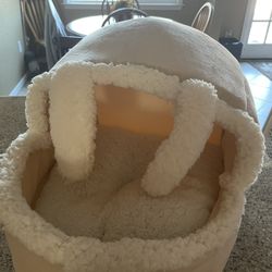 Cat ( Or Small Dog) Bed 