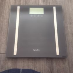 Taylor Weight Scale