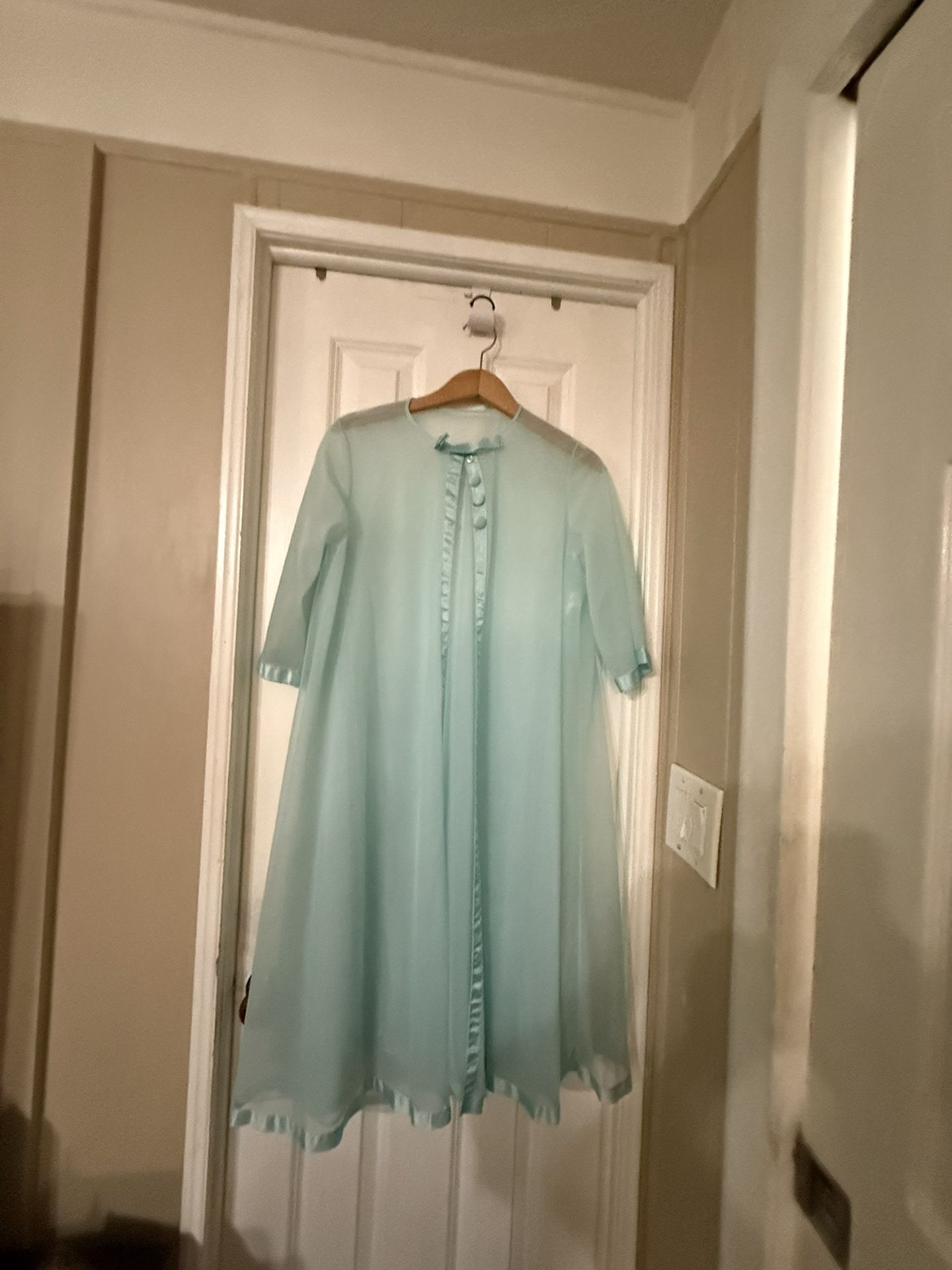 Vintage Warners Sheer Nightgown