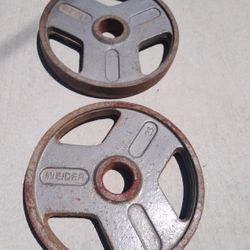 35lbs Olympic Weights 