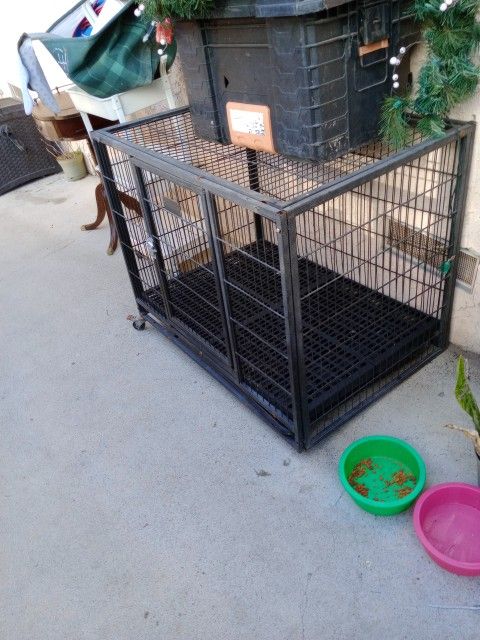 Dog Kennel Large