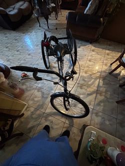 Schwinn adult tricycle