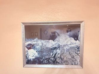 Wall picture