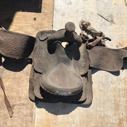 Saddle - Horse Seat!