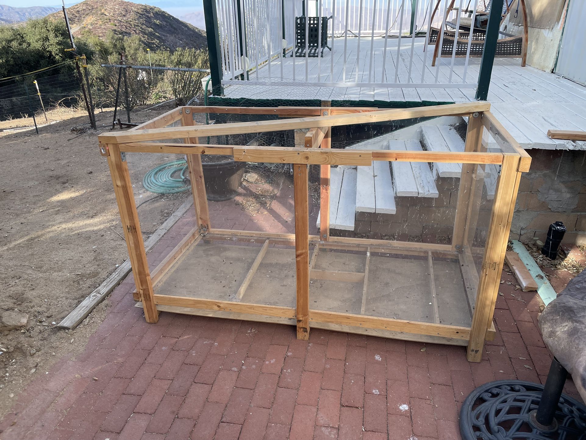 Chick/Bird Cage