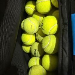50 Pack Dog Tennis Balls -Tennis Balls Pet Toys for Training Play Exercise Interactive Dog