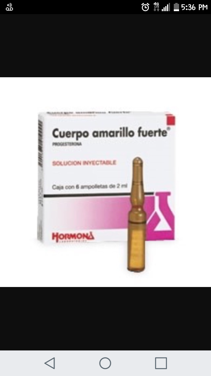 Cuerpo amarillo fuerte