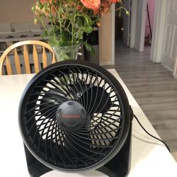 New Fan 
