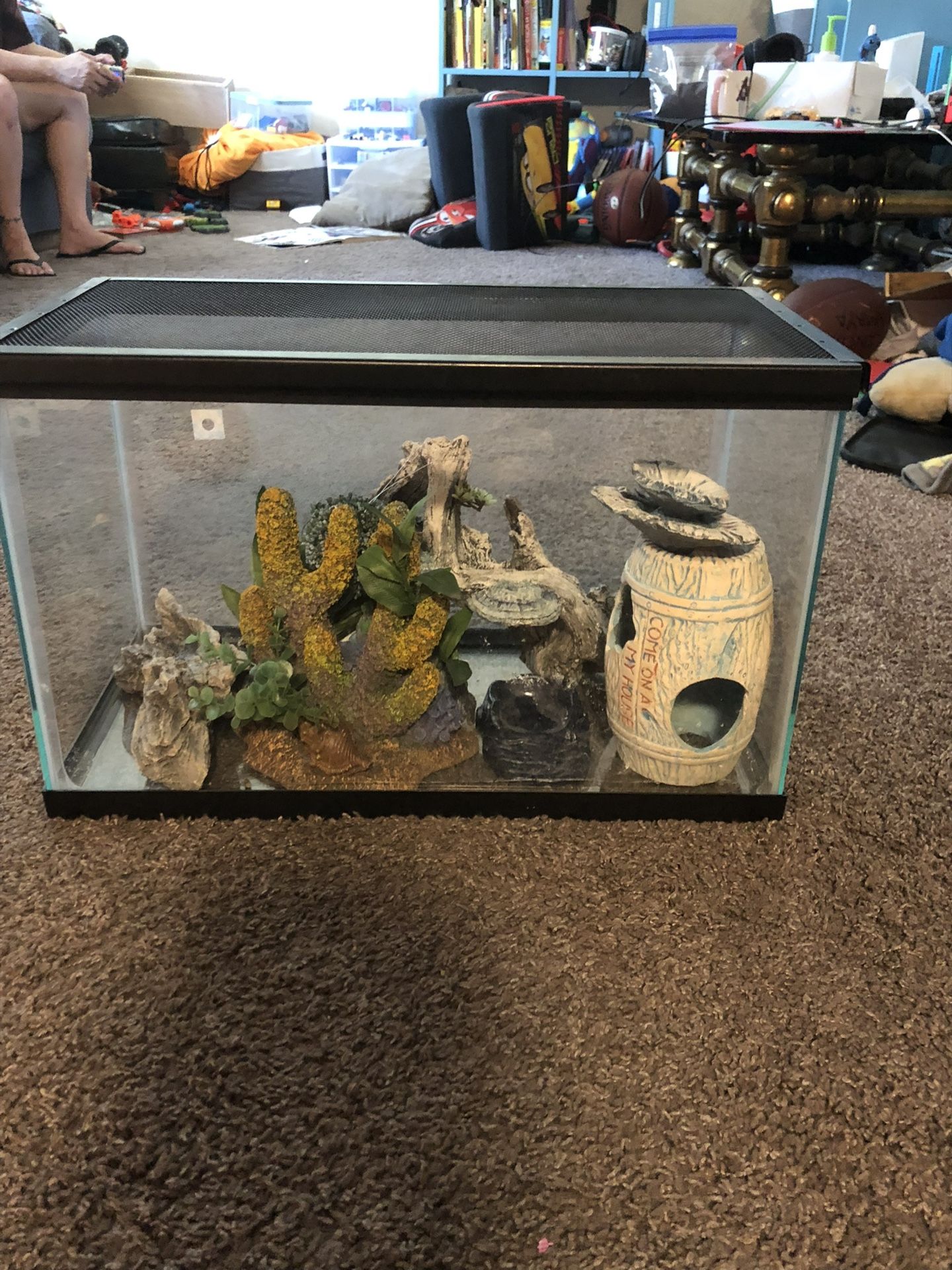 Tank With Lid And Habitat Objects. 