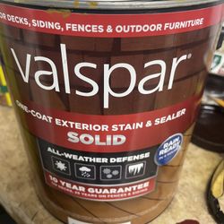 Valspar  Sealer And stain - Solid White