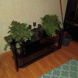 2 Artificial Plants In Baskets