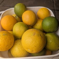 Limones 10 X 1$