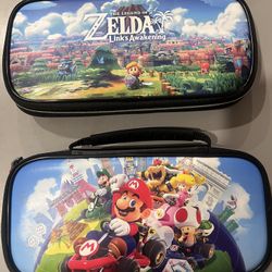 Nintendo DS Cases