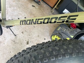 Mongoose