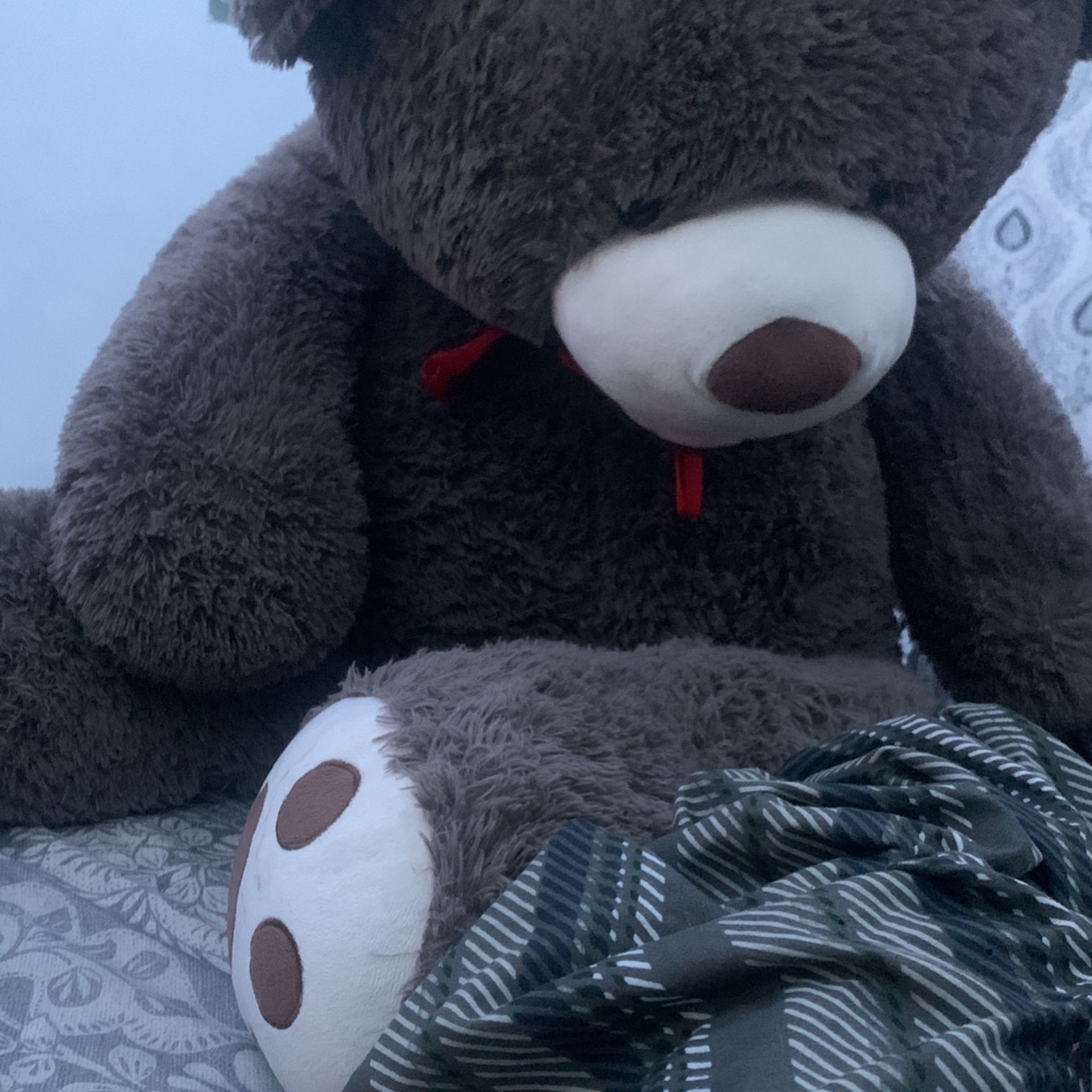 Teddy Bear $30