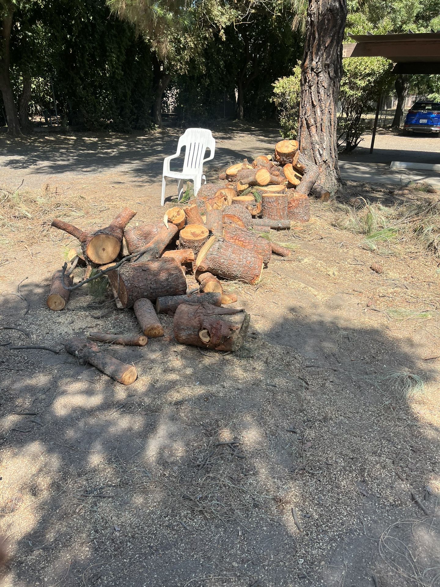Free Pine Wood
