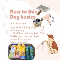 New To This Dog Basics 