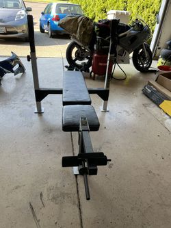 Weight Bench. Bench Press
