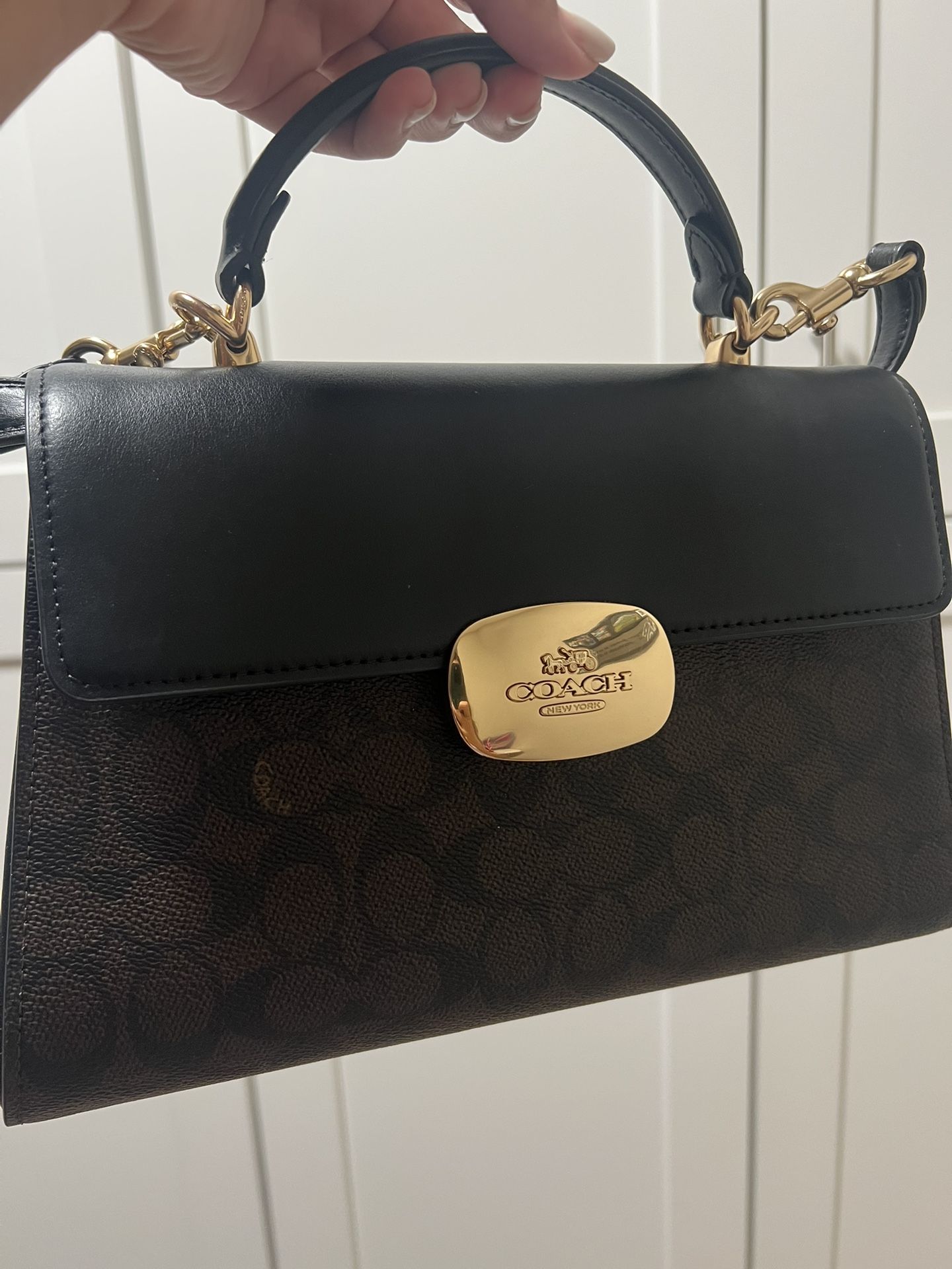 Handbag