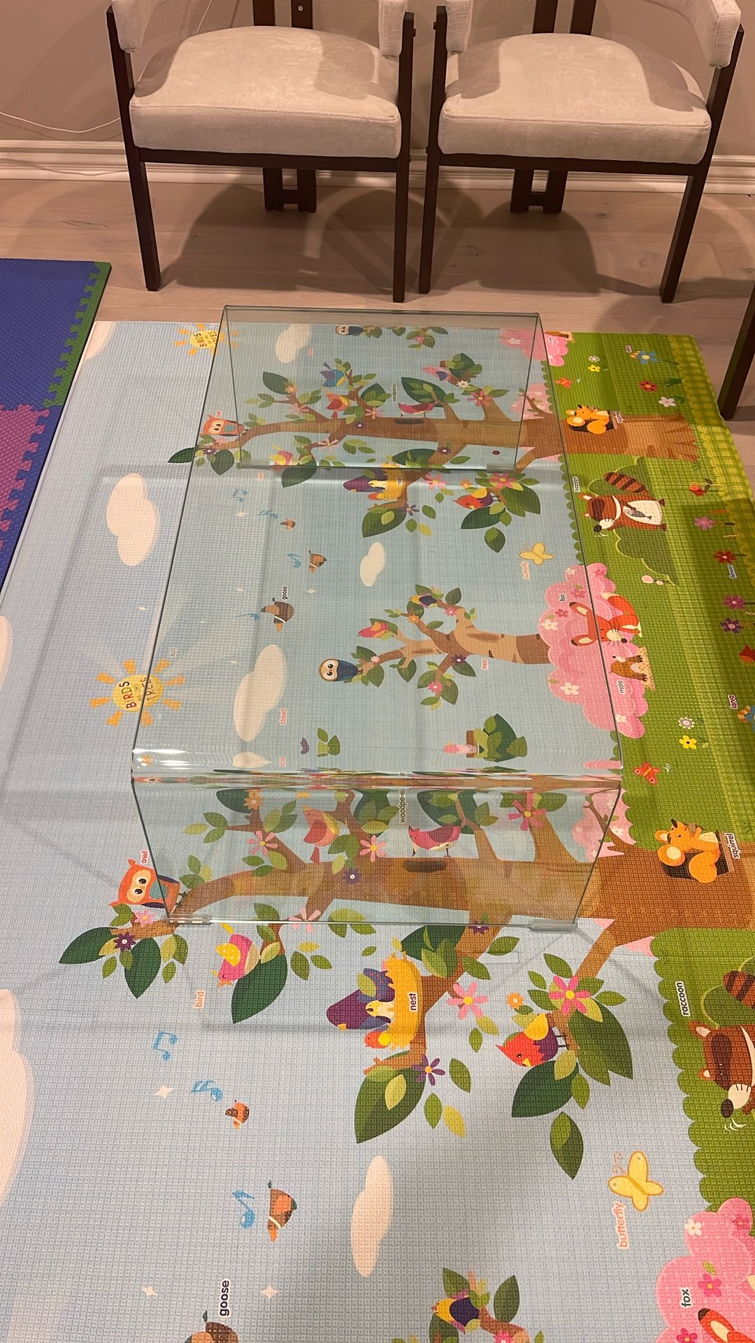 Clear Glass Coffee Table-New