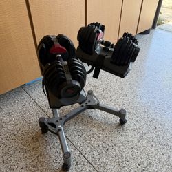 BOWFLEX Weights And Weight Rack