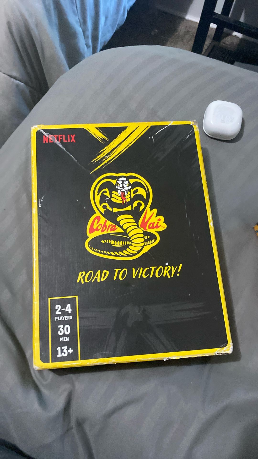 Cobra Kai Bored Game