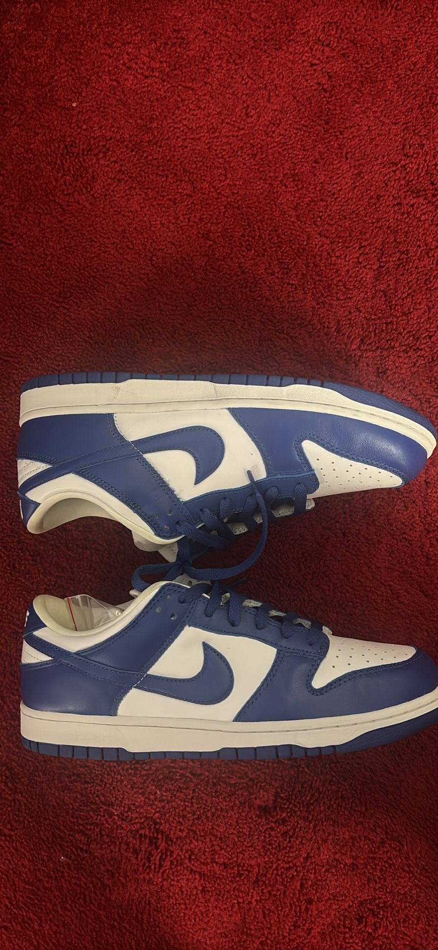 Nike Dunk Low Kentucky 