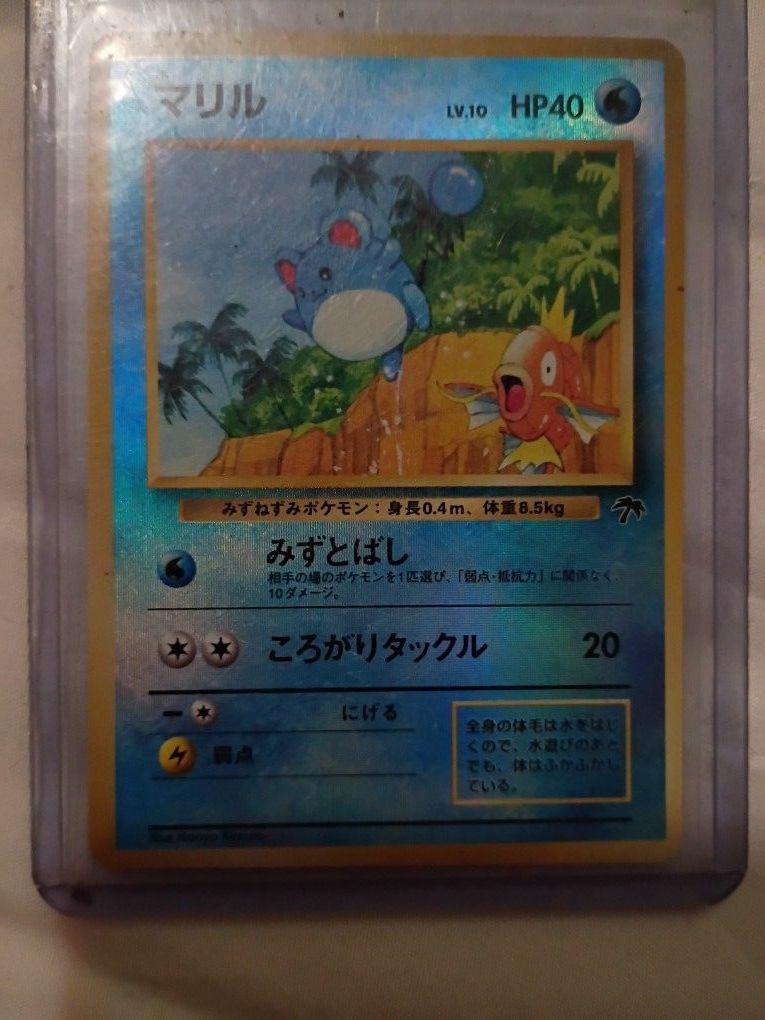 Pokemon Maril Holo Promo Southern Islands(Jap)