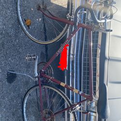 Nishiki Custom Sport Bicycle for Sale