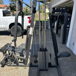 Schwin weight machine