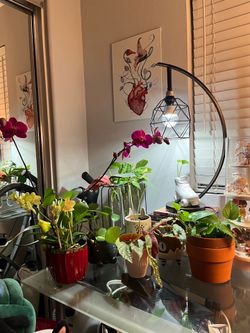 Unique Propagation Station