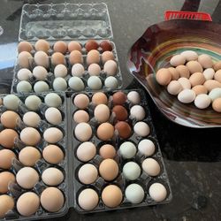 Farm Fresh Eggs $8 A Dozen  Or $15 For 24 Ct