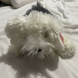Stuffed Animal 