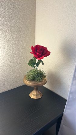 Beauty & the Beast flower