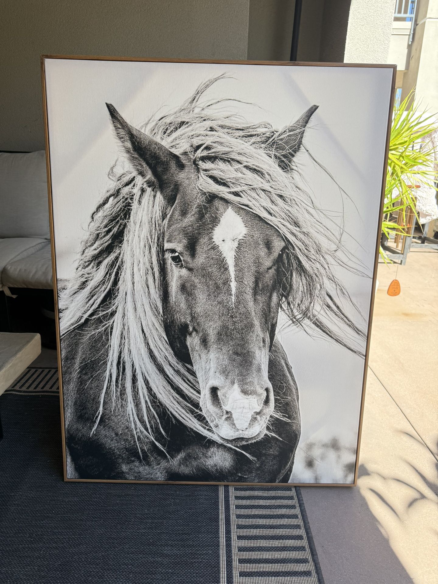 Black And White Horse Canvas Photo Framed