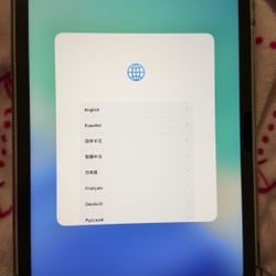 Blue iPad Air 11inch