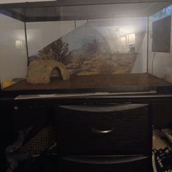 Lizard Tank