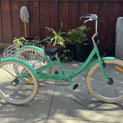 Adult Tricycle Bike