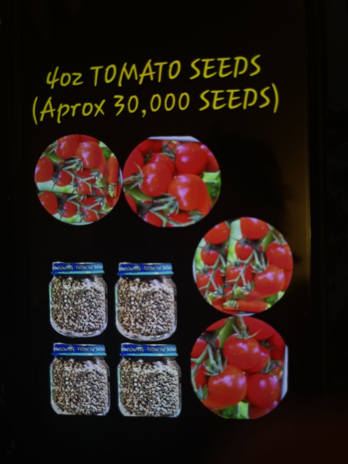 Quarter Pound Cherry Tomato Seeds