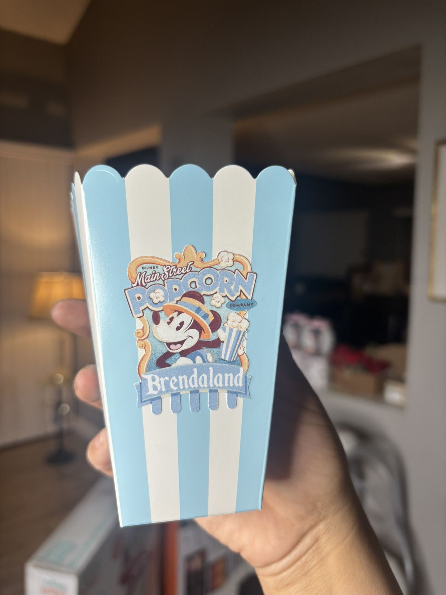 Disneyland Mickey Mouse Minnie Mouse Popcorn Boxes Popcorn Party Favors Party Decorations