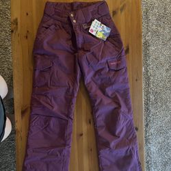 Plum Arctix Ski Pants 
