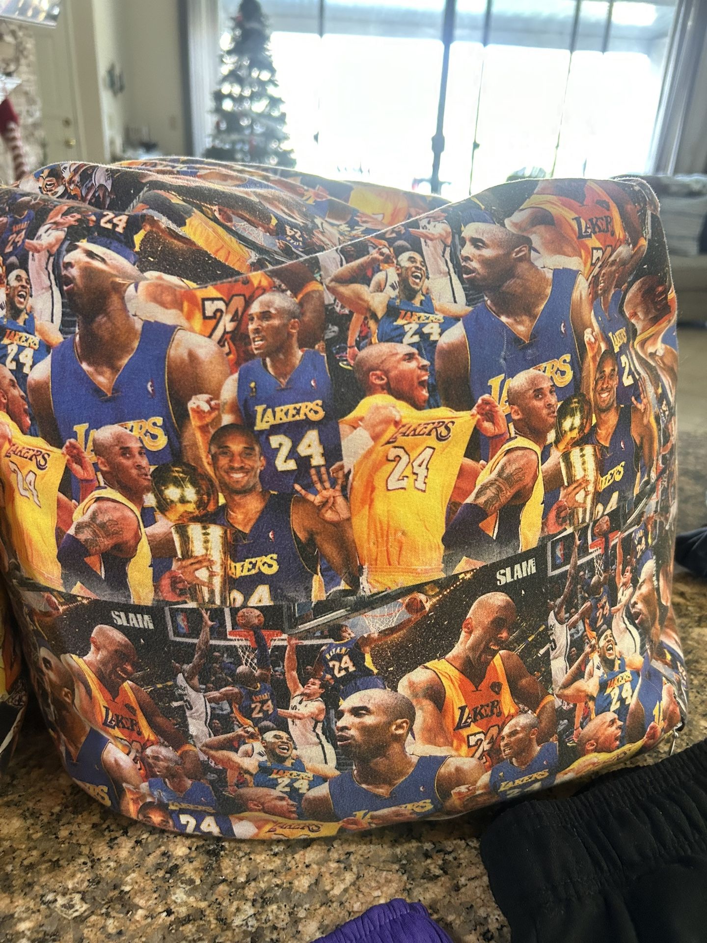 Kids LeBron/Kobe Bean Bags And Lakers Shorts