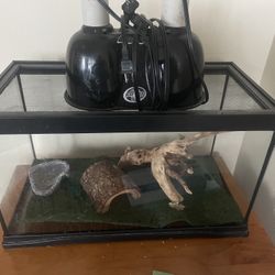Iguana tank