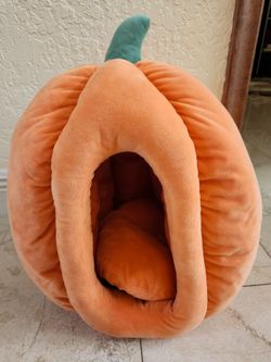 Halloween dog or cat pumpkin bed