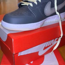 Nike Dunks Only Used Once 