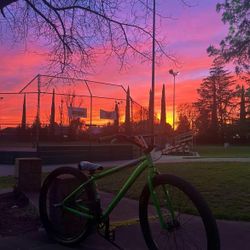 Green Ftg Bomma Mafia Bike